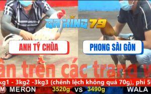 Trận 4 CPC5 23/11/2025 - Gà Xám Đâm Ngập Cây Lưng Bướm Hiệu Tý Chùa