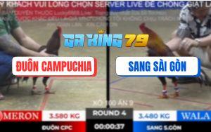 Trận 4 TonHon 28/11/2025 - Vô Kính Hai Con Thấm Tang Bỏ Miệng Hòa