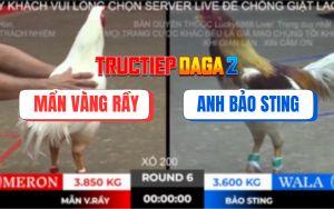 Trận 6 Bồ TonHon 2/11/2025 - Camelo Anh Bảo Sting Đá 5 Lai Còn Bị Phản