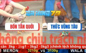 Trận 7 CPC5 23/11/2025 - Điều Anh Thức Có Chân Xạo Lờ, Biện Lại Ra Đảo