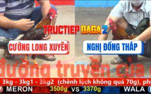 Trận 8 CPC5 15/11/2025 - Gà Phèn Anh Cường Đá Toàn Đâm Đầu Cần