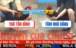 Trận 8 CPC5 23/11/2025 - Anh Tám Bỏ Cuộc, Cứu Kê Về Làm Giống