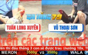 Trận 9 CPC5 27/11/2025 - Điều Đá Liên Hoàn Cước Bướm Ói Chạy Không Kịp