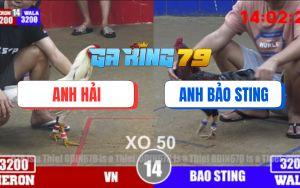 Trận 14 Bồ TonHon 3/12/2025 - Gà Bướm Đâm Gà Điều Bảo Sting Ói Đen Đầu