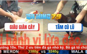 Trận 28 CPC5 6/12/2025 - Điều Cù Lũ Đâm Cựa Như Máy Chạy Hết Công Suất