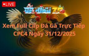Xem Full Clip Đá Gà Trực Tiếp CPC4 Ngày 31/12/2025
