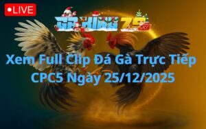Xem Full Clip Đá Gà Trực Tiếp CPC5 Ngày 25/12/2025