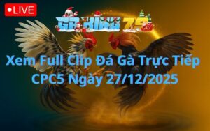 Xem Full Clip Đá Gà Trực Tiếp CPC5 Ngày 27/12/2025
