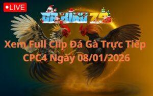 Xem Full Clip Đá Gà Trực Tiếp CPC4 Ngày 08/01/2026