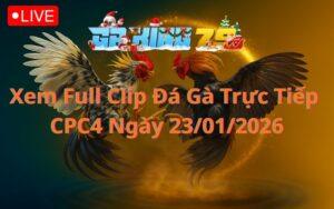 Xem Full Clip Đá Gà Trực Tiếp CPC4 Ngày 23/01/2026