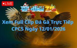 Xem Full Clip Đá Gà Trực Tiếp CPC5 Ngày 12/01/2026