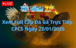 Xem Full Clip Đá Gà Trực Tiếp CPC5 Ngày 23/01/2026