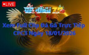 Xem Full Clip Đá Gà Trực Tiếp CPC3 Ngày 18/01/2026